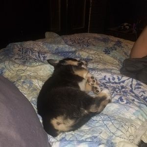 Meet your Posher, Shanna